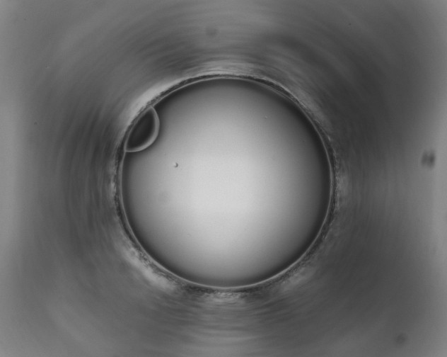 X0000111450846200907201047