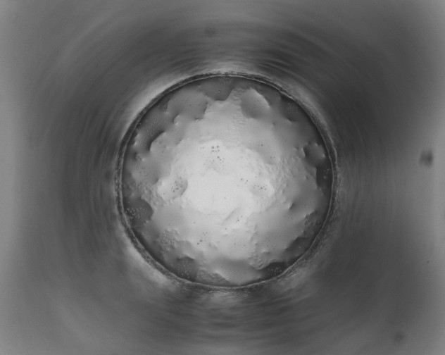 X0000111450847200907201047