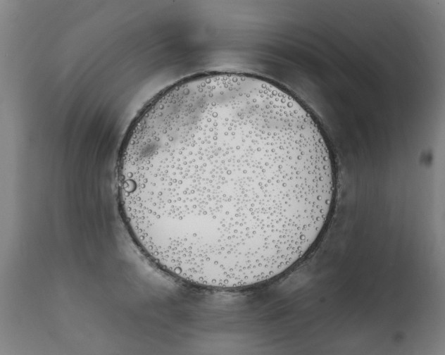 X0000111450848200907201047