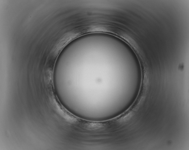 X0000111450849200907201047