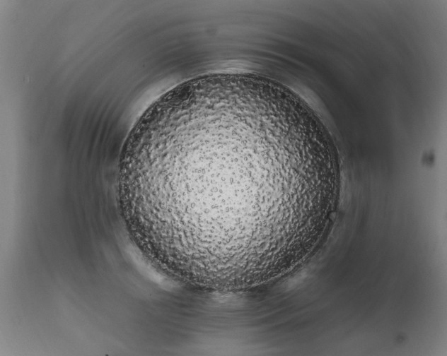 X0000111450850200907201047