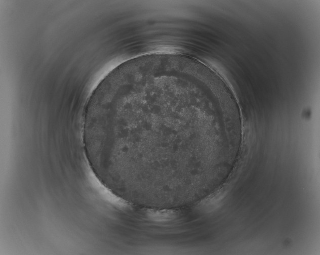 X0000111450851200907201047