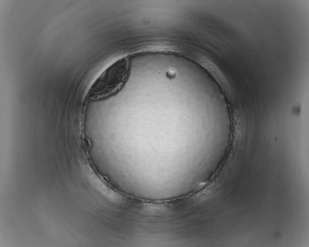 X0000111450852200907201047