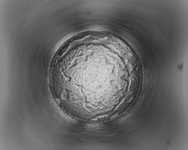 X0000111450853200907201047