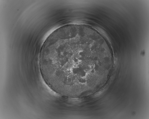 X0000111450855200907201047