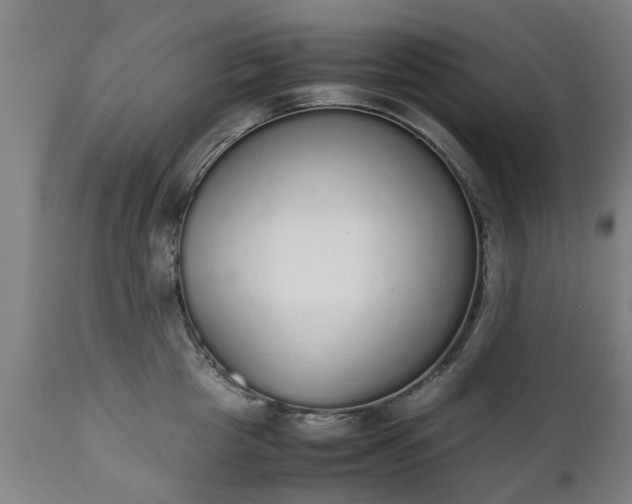X0000111450857200907201047