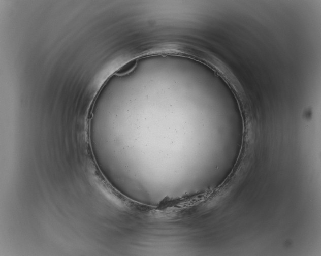 X0000111450858200907201047