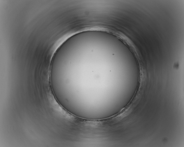 X0000111450860200907201047