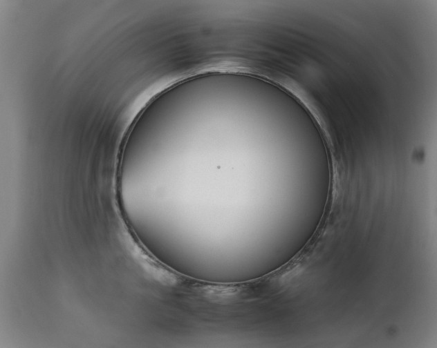 X0000111450861200907201047