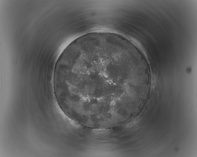 X0000111450863200907201047