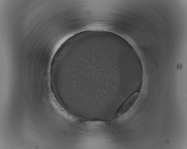 X0000111450864200907201047