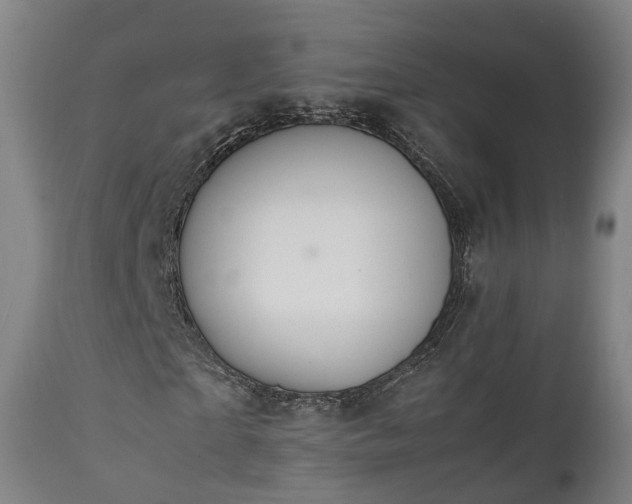 X0000111450865200907201047