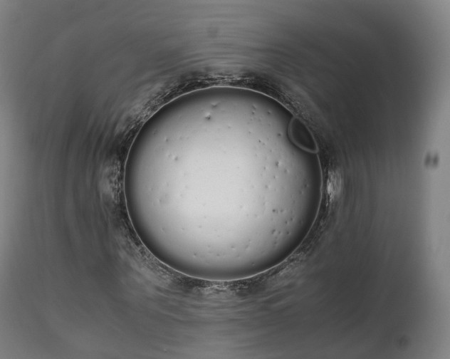 X0000111450867200907201047
