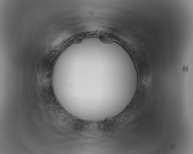 X0000111450869200907201047