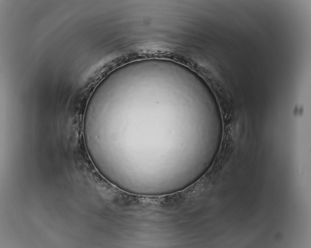 X0000111450870200907201047