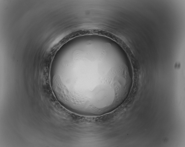 X0000111450871200907201047