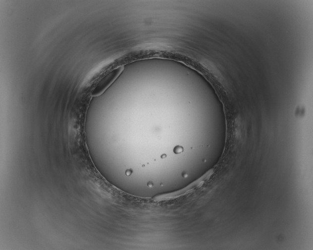 X0000111450872200907201047