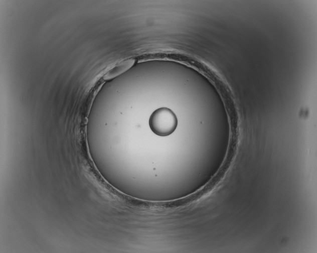 X0000111450873200907201047