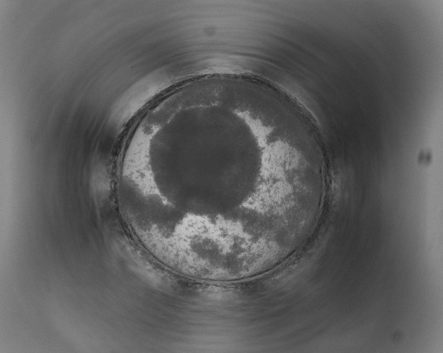X0000111450874200907201047