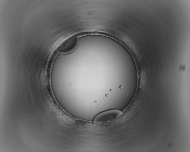 X0000111450876200907201047