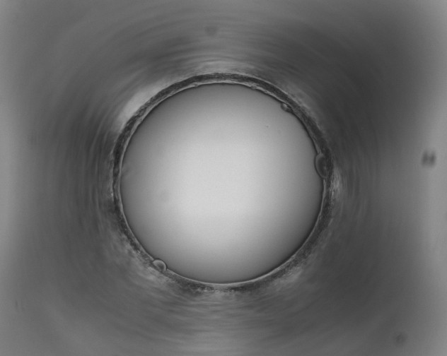 X0000111450877200907201047