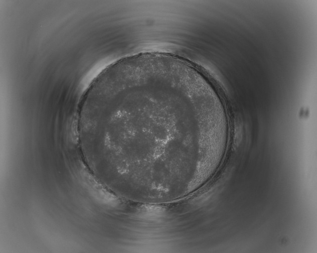 X0000111450878200907201046
