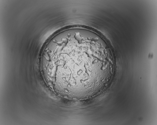 X0000111450879200907201046