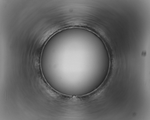X0000111450881200907201046