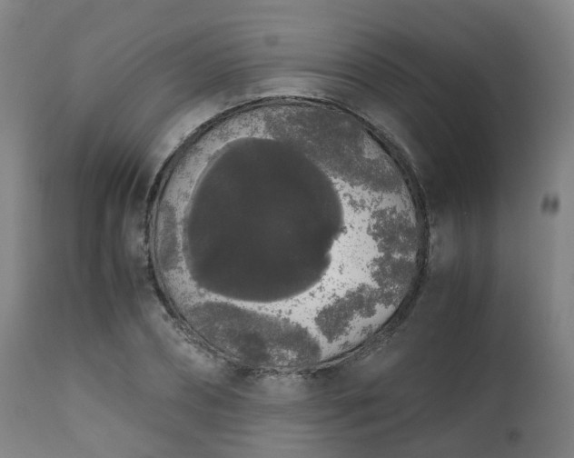 X0000111450882200907201046