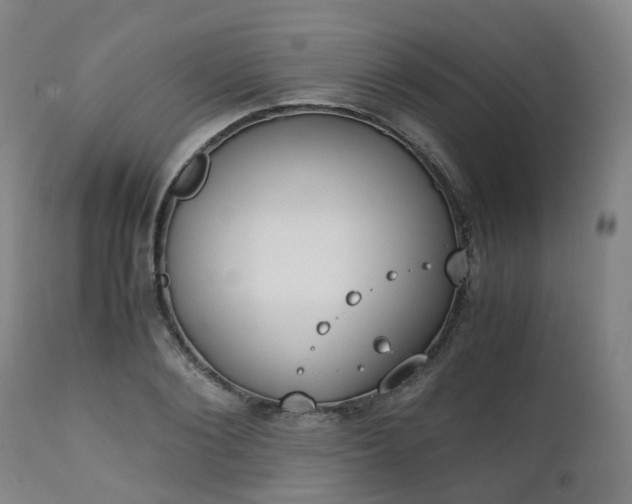 X0000111450884200907201046