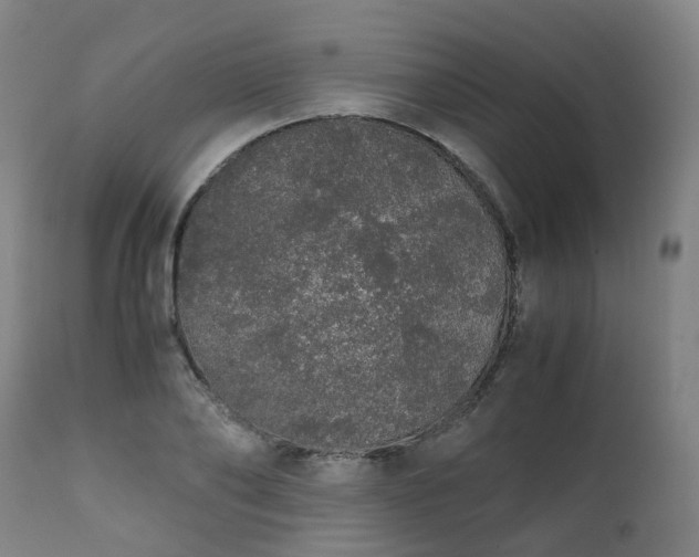 X0000111450886200907201046