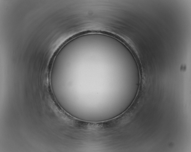 X0000111450887200907201046