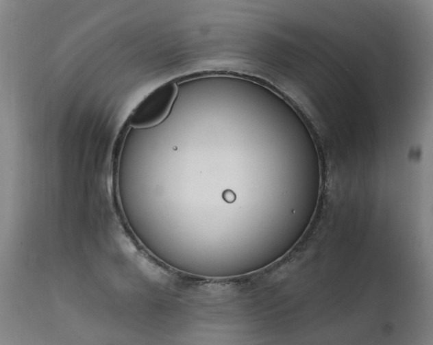 X0000111450888200907201046
