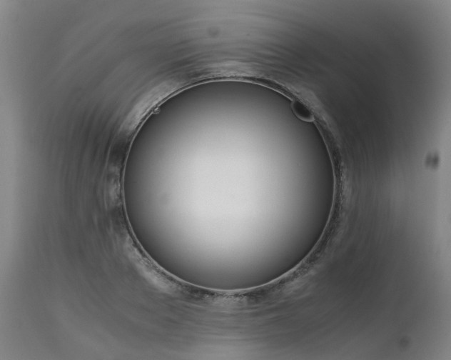 X0000111450889200907201046