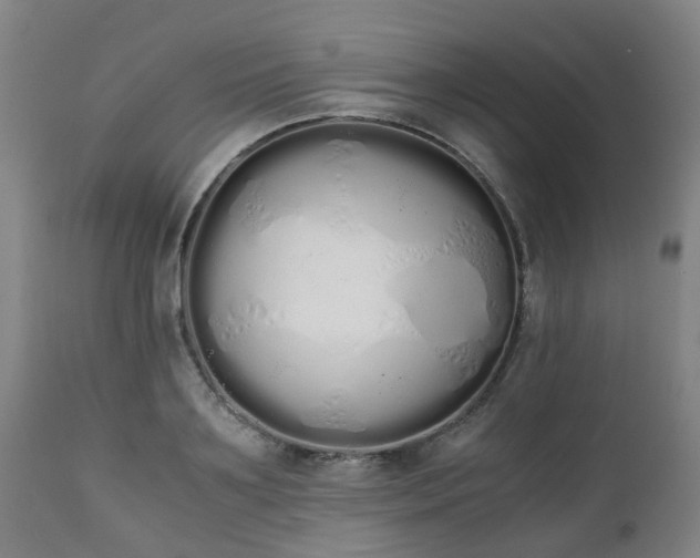 X0000111450891200907201046