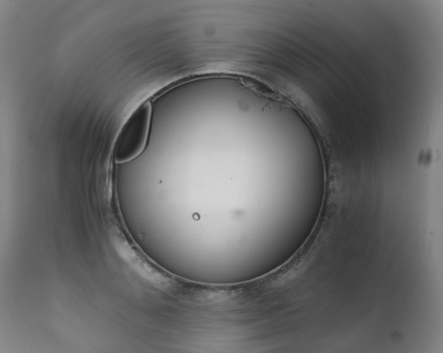 X0000111450892200907201046