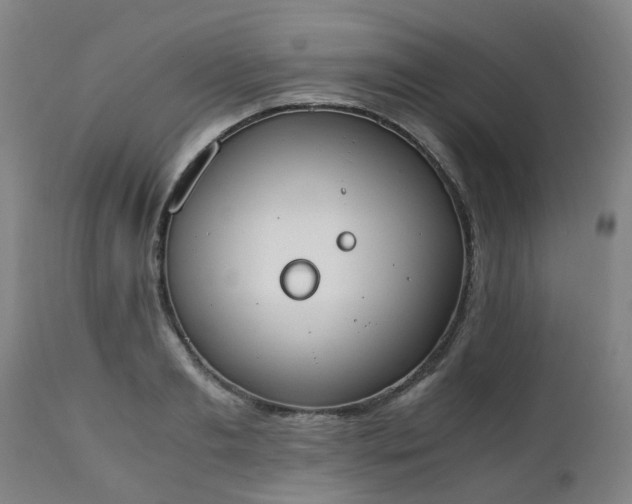 X0000111450893200907201046