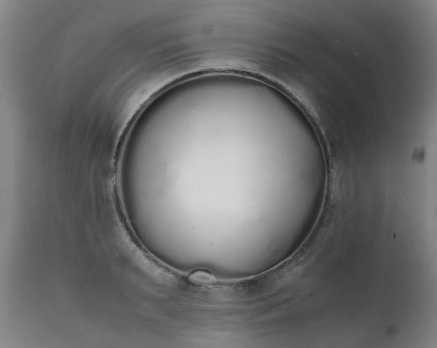 X0000111450895200907201046