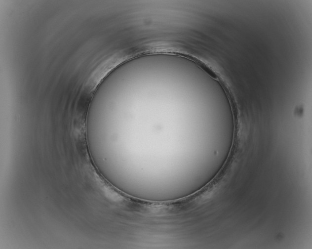 X0000111450897200907201046