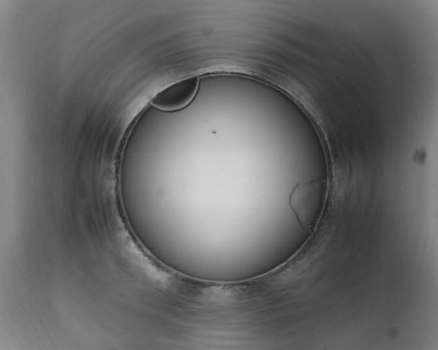 X0000111450898200907201046