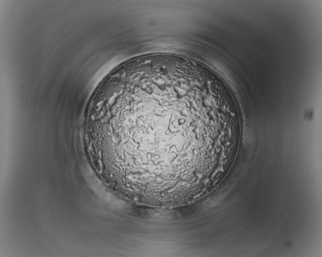 X0000111450899200907201046