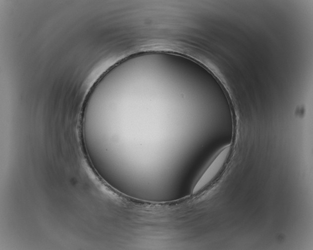 X0000111450901200907201046