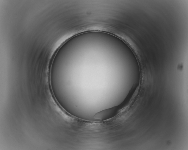 X0000111450902200907201046