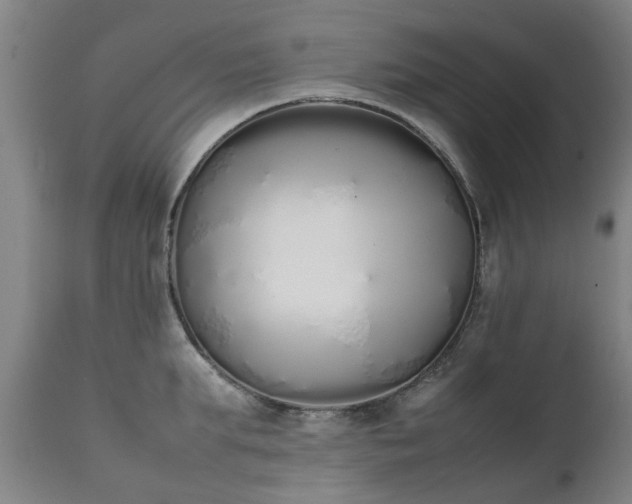 X0000111450903200907201046