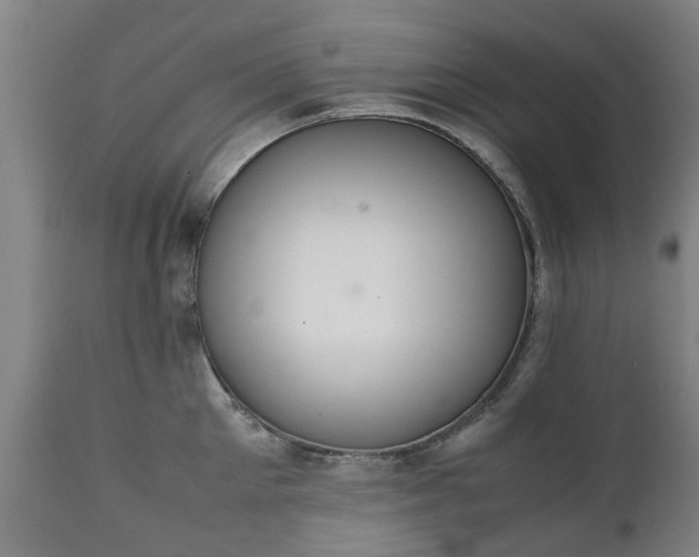 X0000111450905200907201046
