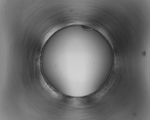 X0000111450906200907201046