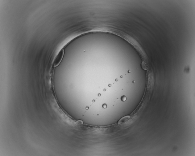 X0000111450908200907201046