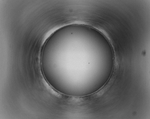 X0000111450910200907201046