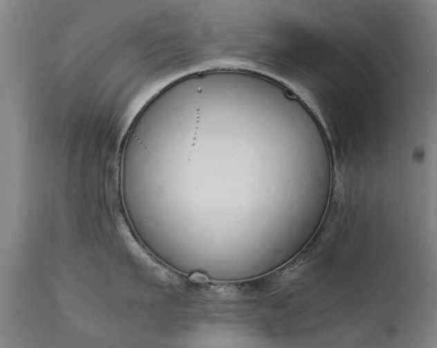 X0000111450911200907201046