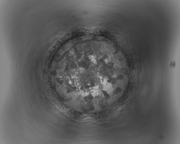 X0000111450913200907201045